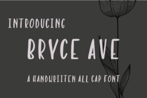 Bryce Ave Hero