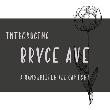 Bryce Ave Hero